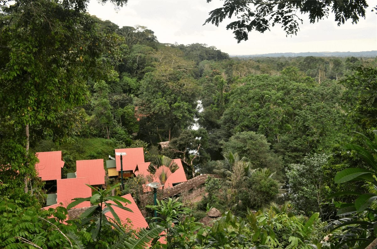 banner-image